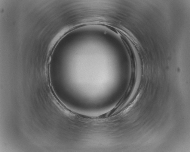 X0000073431196200607281143