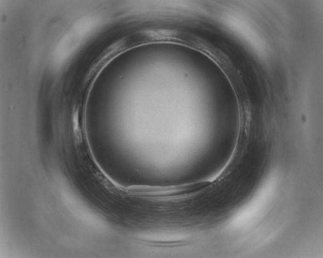 X0000073431198200607281143