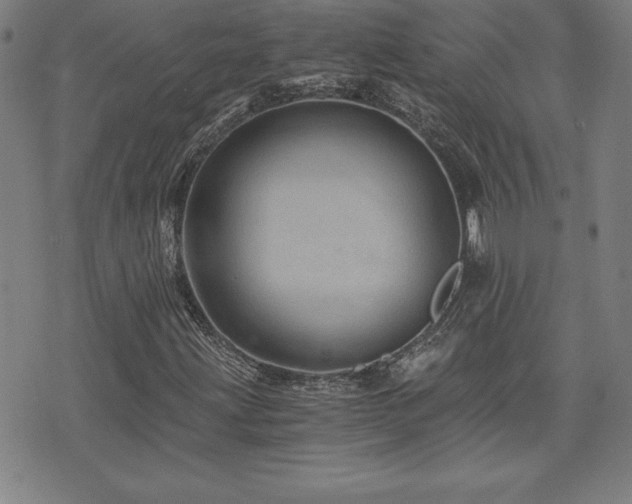 X0000073431203200607281142