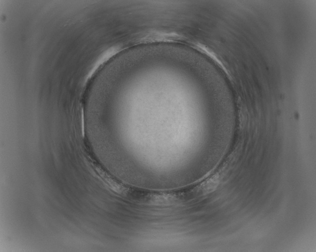 X0000073431219200607281143
