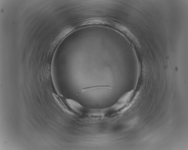 X0000073431233200607281143