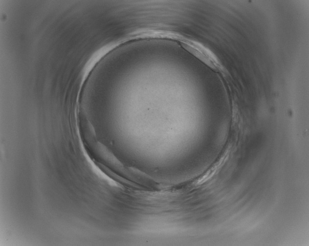 X0000073431247200607281143