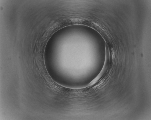 X0000073431249200607281142