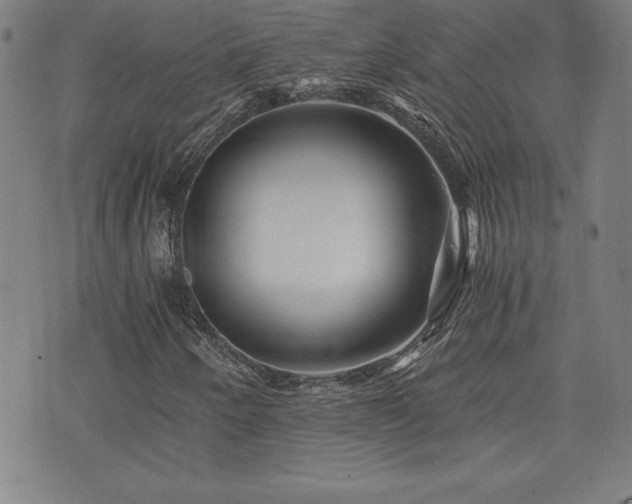 X0000073431250200607281142