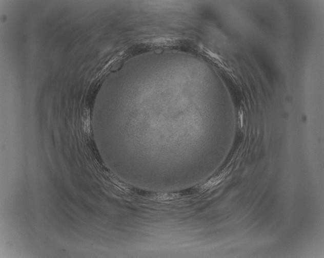 X0000073431251200607281142