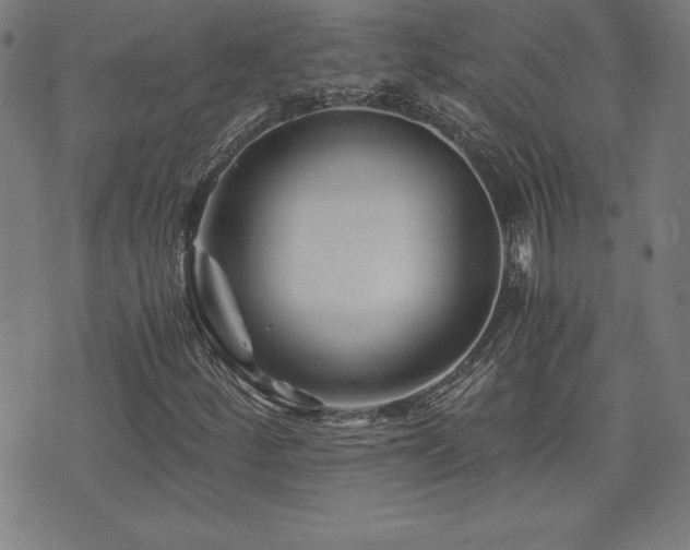 X0000073431252200607281142