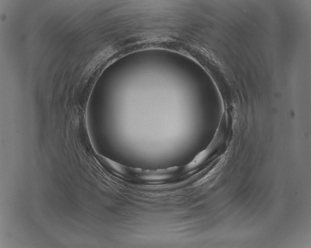 X0000073431257200607281142