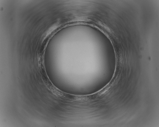 X0000073431258200607281142