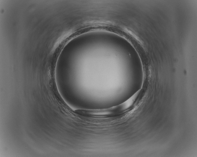 X0000073431261200607281142