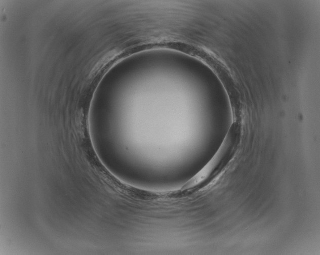 X0000073431265200607281142