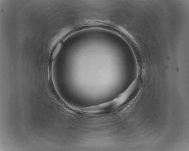 X0000073431269200607281142