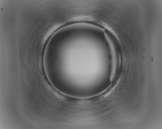 X0000073431277200607281142