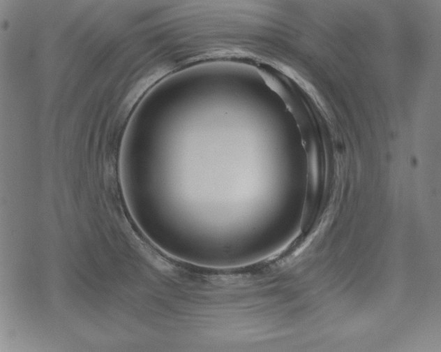 X0000073431281200607281142