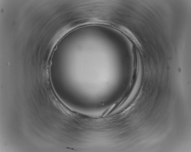 X0000073431292200607281142