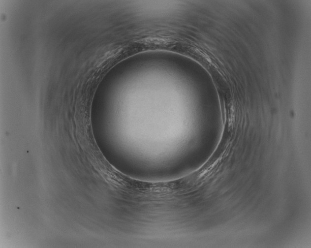 X0000073431297200607281141