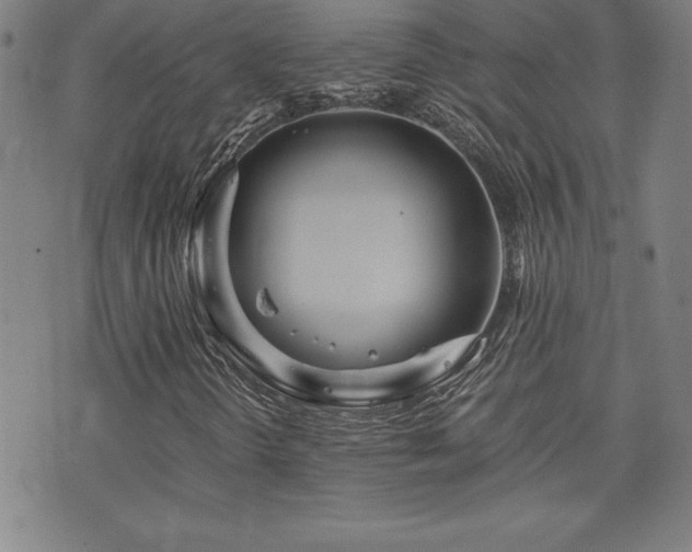 X0000073431298200607281141
