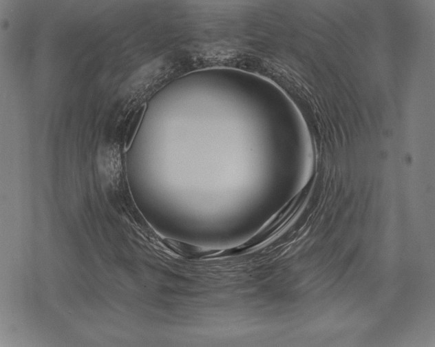 X0000073431299200607281141
