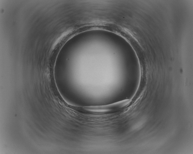 X0000073431307200607281141