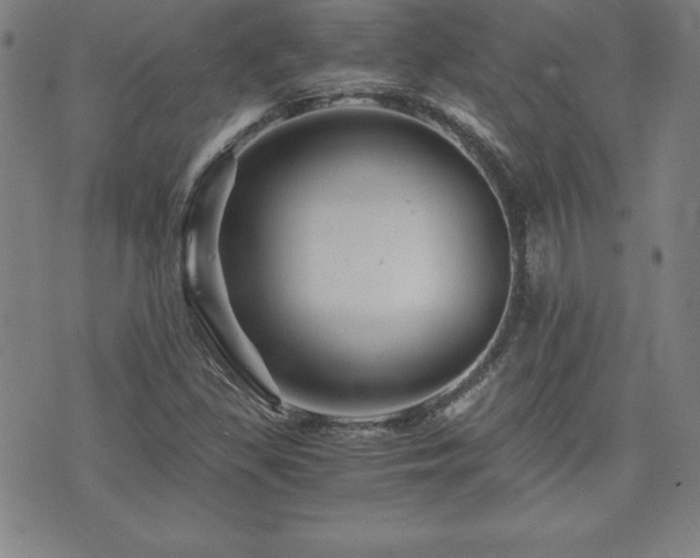 X0000073431309200607281141