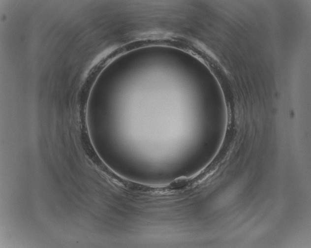 X0000073431315200607281141