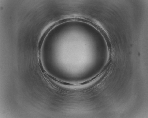 X0000073431320200607281141
