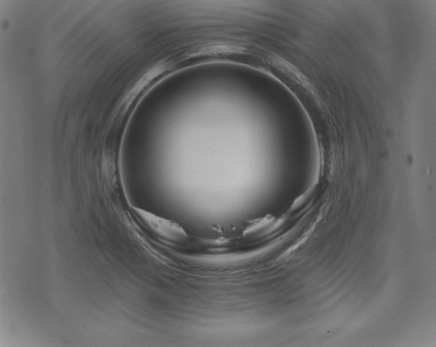 X0000073431321200607281141
