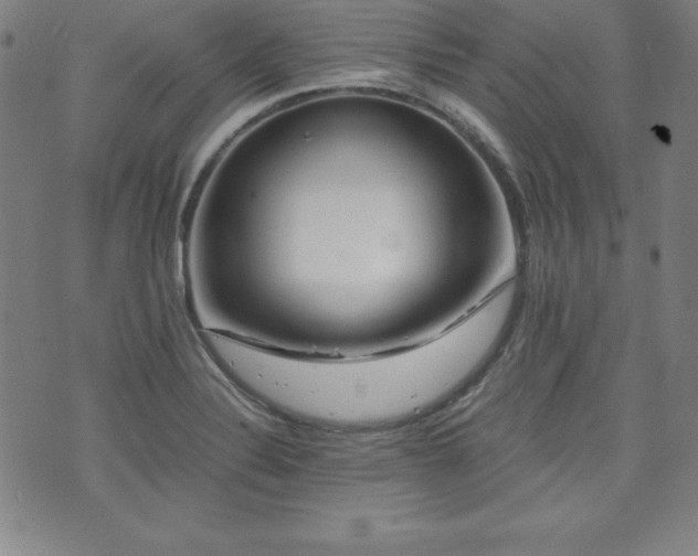 X0000073431324200607281141