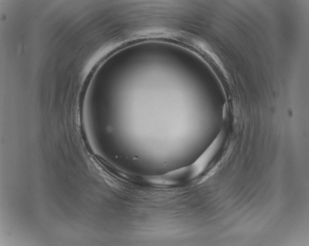X0000073431328200607281141