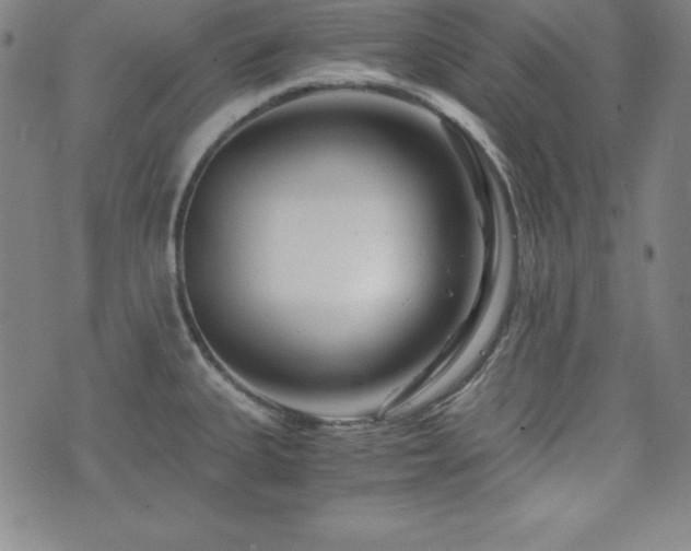 X0000073431335200607281141