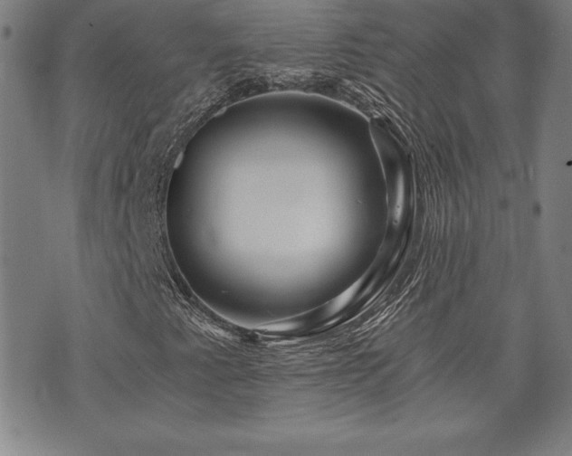 X0000073431345200607281141