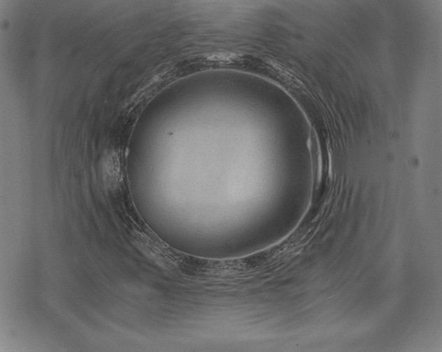 X0000073431347200607281141