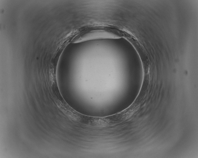 X0000073431348200607281141