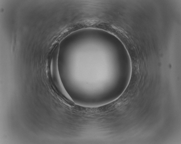 X0000073431349200607281141