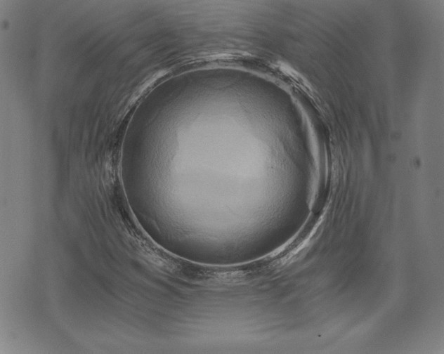 X0000073431353200607281141