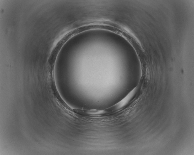 X0000073431360200607281141