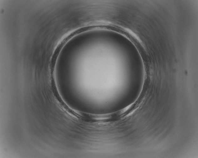 X0000073431364200607281140