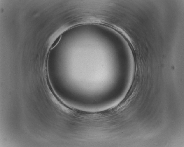 X0000073431387200607281140
