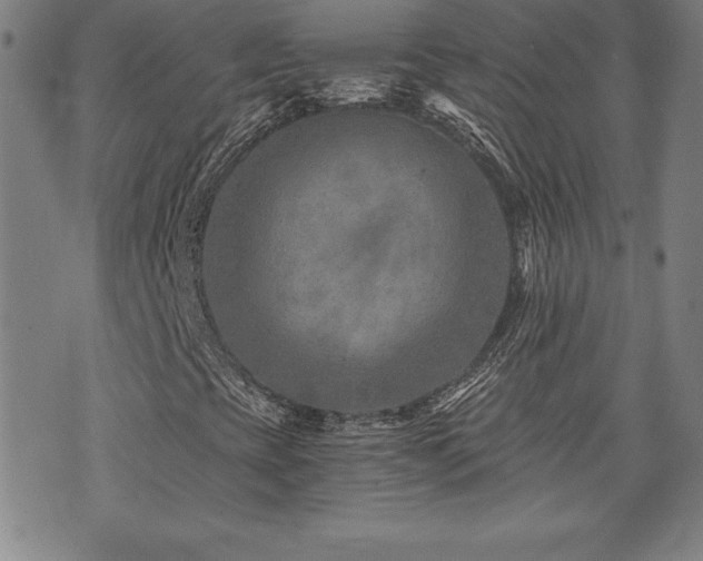 X0000073431393200607281139