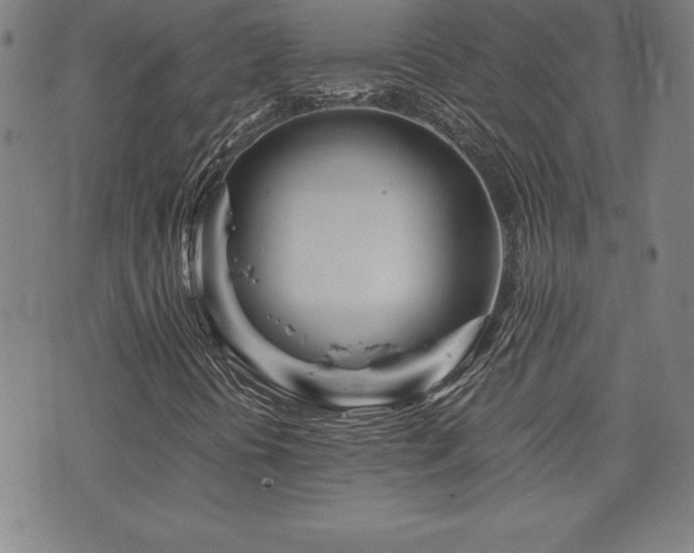 X0000073431394200607281139