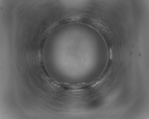 X0000073431395200607281139