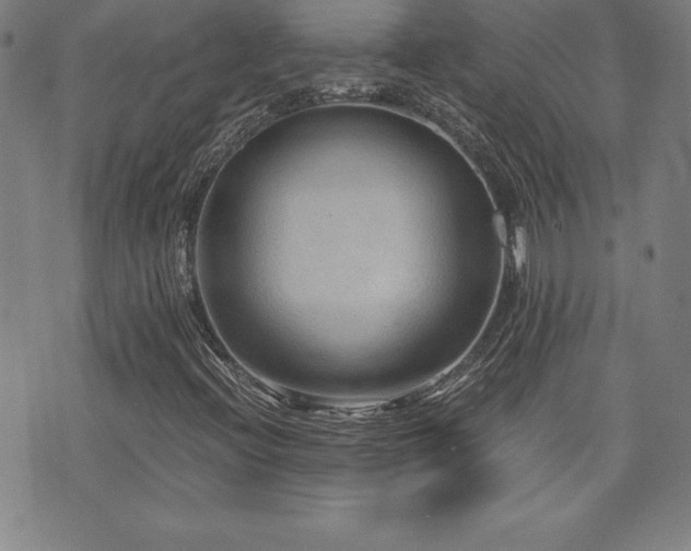 X0000073431396200607281139