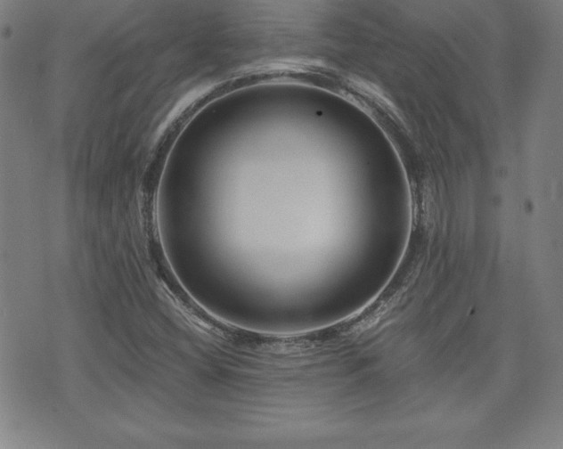 X0000073431404200607281139