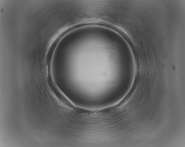 X0000073431414200607281140