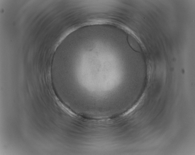 X0000073431417200607281140