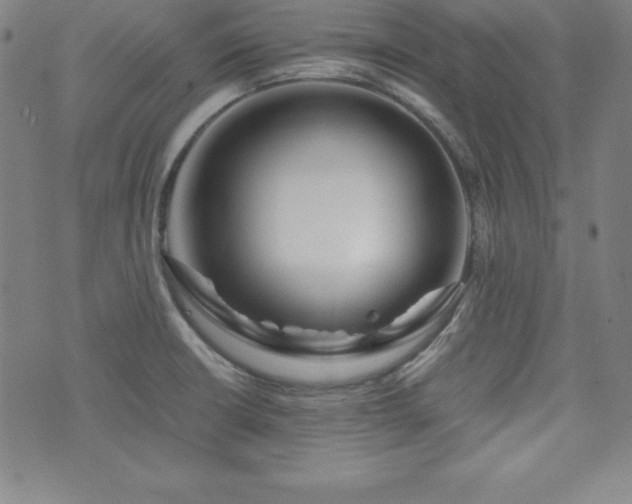 X0000073431426200607281140