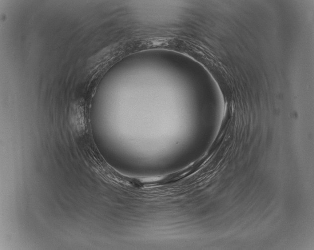 X0000073431442200607281139