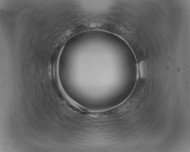 X0000073431443200607281139