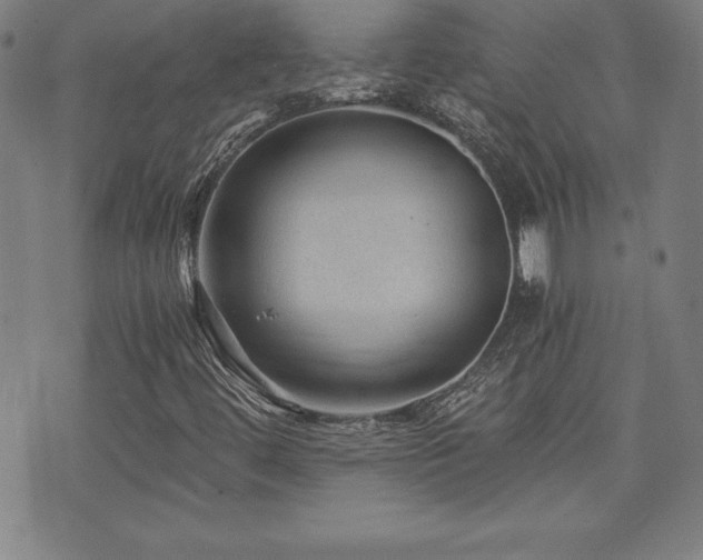X0000073431444200607281139