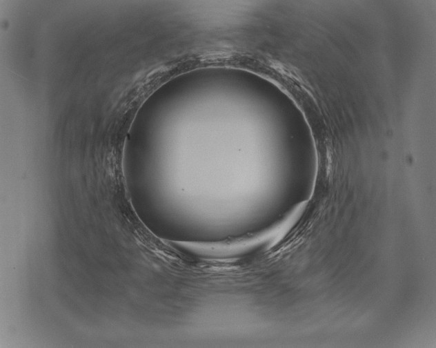 X0000073431445200607281139