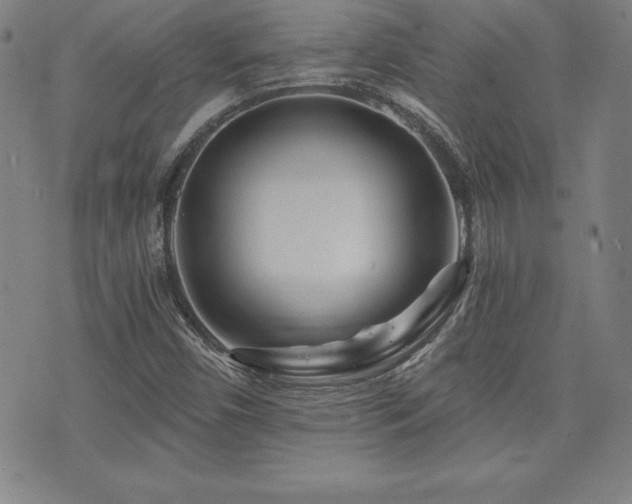 X0000073431450200607281139